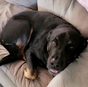 Meet your Posher, Taylee